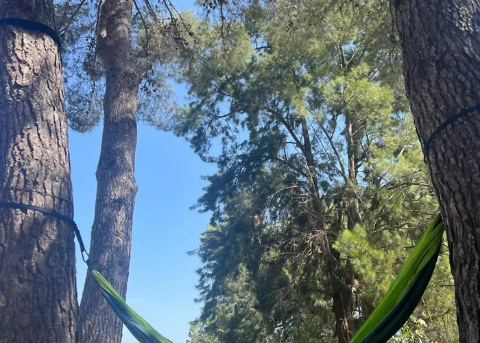 別荘 House With Swimming Pool And Amazing Sea And Mountain Views In Montgo,